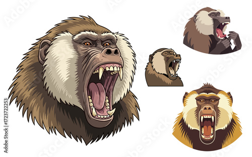 Angry Baboon Heads in Various Expressions.