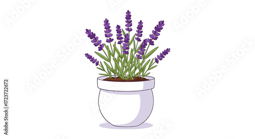 Elegant potted lavender illustration against white background, a soothing botanical display