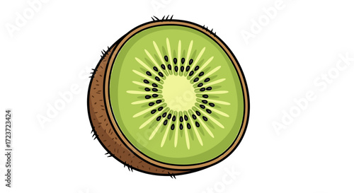 Fresh Kiwi Slice: A Vibrant and Healthy Fruit Illustration
