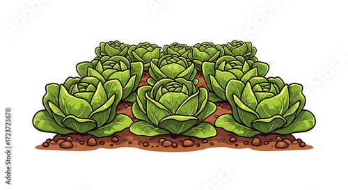 Cartoon Cabbage Patch: Rows of Vibrant Green Cabbage Heads
