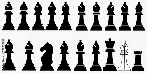 Chess pieces arranged in two rows, including bishops, knight, queen, king, and rook.