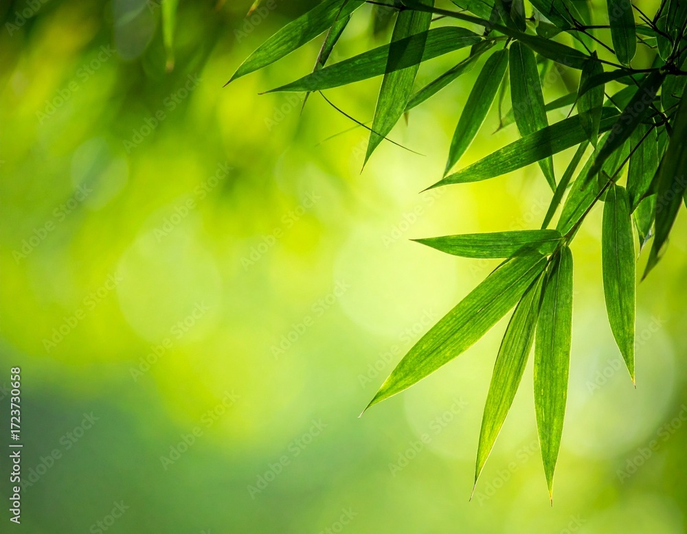 Obraz premium ぼやけた緑の背景の片側に笹の葉のあしらい