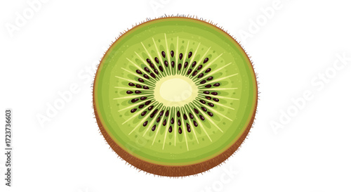 Vibrant Kiwi Slice Illustration with Black Seeds and Fuzzy Skin