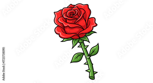 Red Rose Illustration: Beautiful Blooming Flower on a White Background