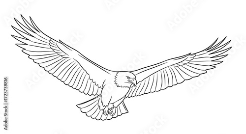 Striking eagle soars with wings spread in a powerful black line illustration