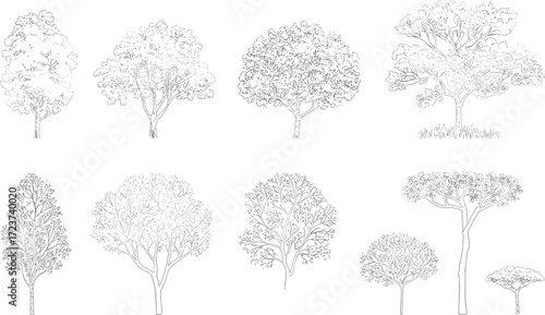 Hand drawn tree set, vintage botanical sketch, nature illustration, eco forest outline, detailed foliage design, landscape art, vector collection