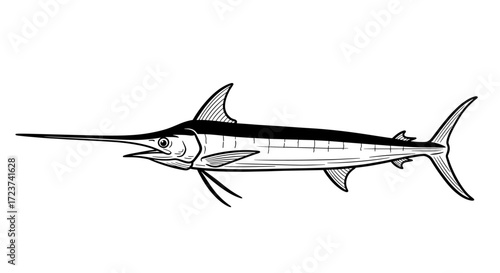 Striking Black and White Swordfish Illustration on a Clean White Backdrop