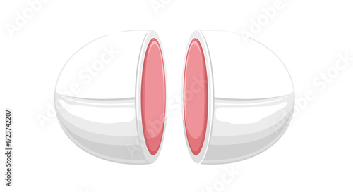 Isolated split pill with pink core halves on a white background