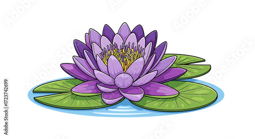 Detailed illustration of a vibrant water lily with floating lily pads
