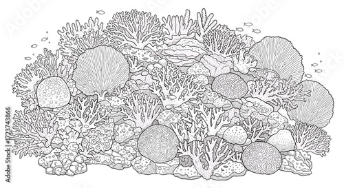 Exquisite Coral Reef Illustration with Diverse Marine Life and Intricate Details