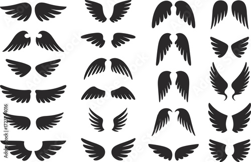 Set of different angel wings silhouettes, a collection of bird feathers illustration, a variety of forms and styles on a white background