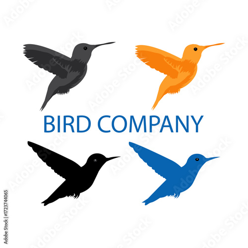 set of vector birds illustration with cute animal drawings and flying bird icons