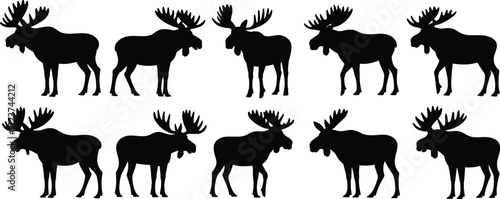 Set of different moose silhouettes, a collection of wild forest animals with large antlers, isolated on a white background, flat vector