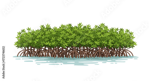 Mangrove Trees with Roots in Water Illustration.