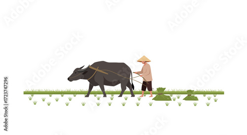 Farmer with Water Buffalo in Rice Paddy Field Illustration.