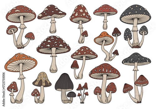 A delightful collection of vintage inspired woodland fungi illustrations.