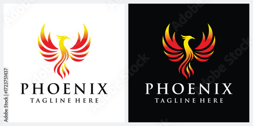 flying bird phoenix logo design, fire bird eagle falcon hawk silhouette graphic vector 
