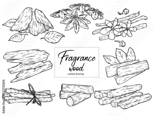 collection of hand drawn aromatic fragrance wood outline drawing illustration 2