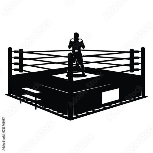 Silhouette of boxer in a boxing ring ready for competition