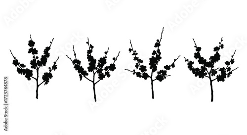 Set of four delicate black silhouette branches with subtle foliage elements against a clean backdrop vector
