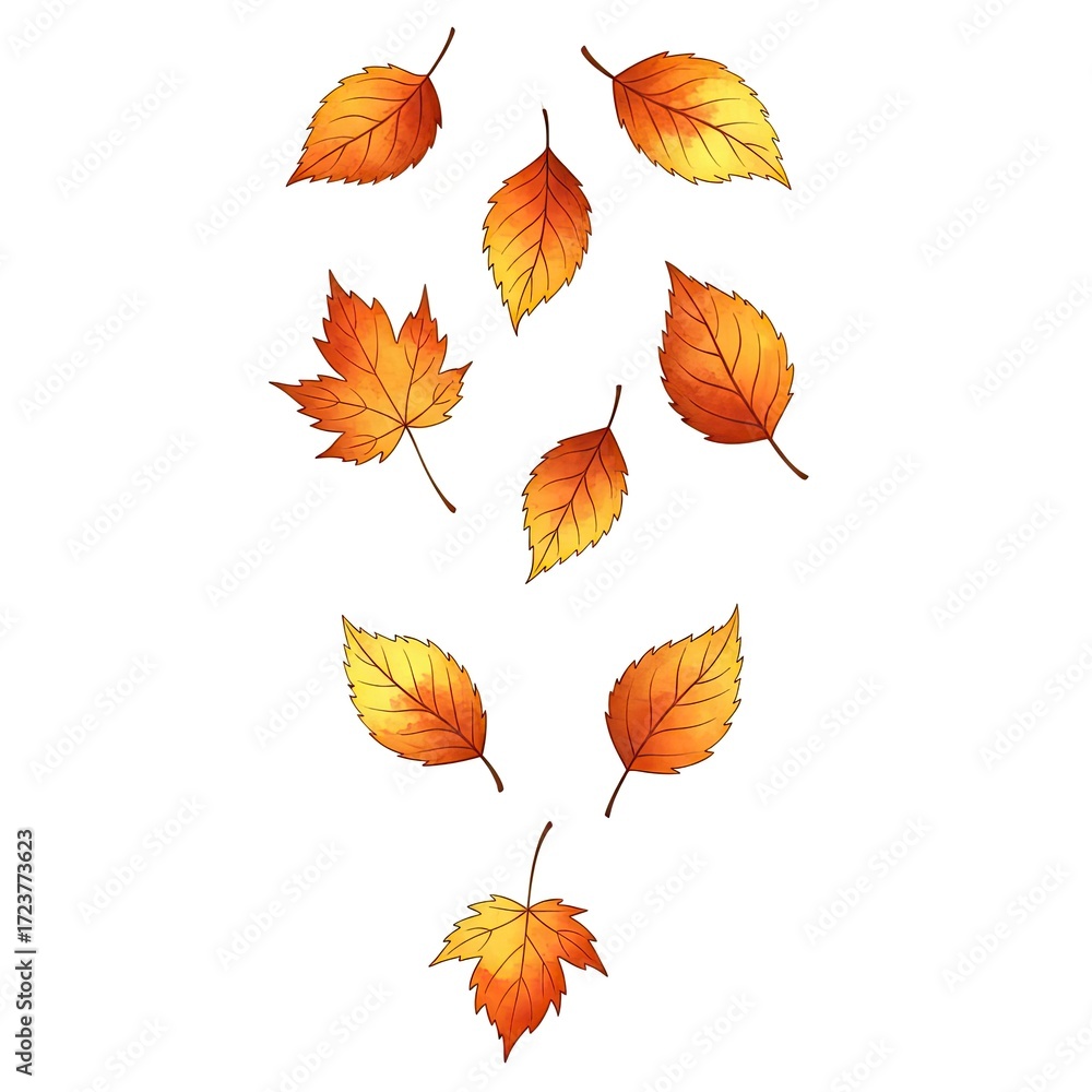 Obraz premium A collection of vibrant autumn leaves in various shapes and shades cascade gracefully against a clean backdrop, showcasing the beauty and transition of the season.