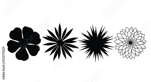 Diverse black floral silhouettes collection featuring unique petal designs vector
