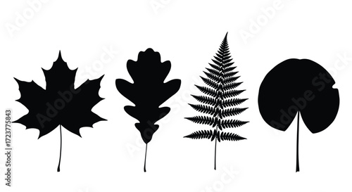 Collection of silhouetted natural foliage diverse tree leaves and fern frond art vector