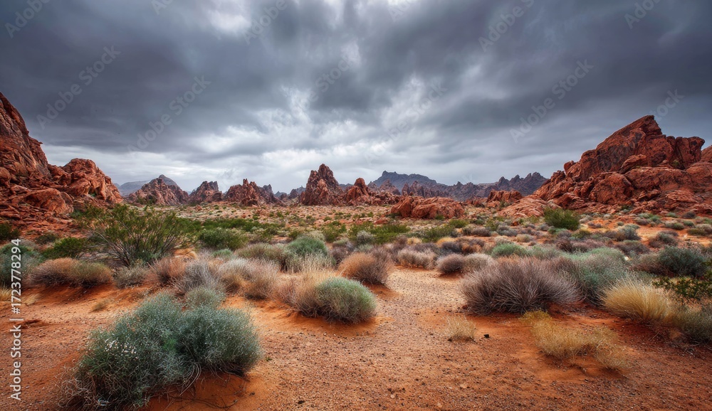 Obraz premium A vast desert landscape, dramatic red rock formations under a stormy sky, and low-lying desert scrub