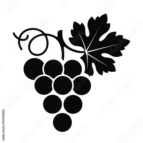 Grapes Vector Illustration with Leaf and Branch Isolated on White Background, Fresh Fruit Design for Healthy Food Template