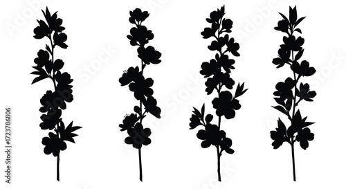 Silhouette of delicate flower stems with blossoms elegant floral design elements for spring and summer vector