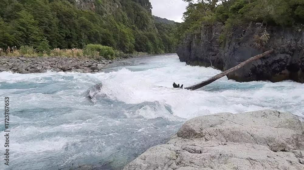 Saltos del Río Petrohué, Región de Los Lagos, comuna de Puerto Varas., Chile, Parque Nacional Vicente Pérez Rosales. Enero 2023