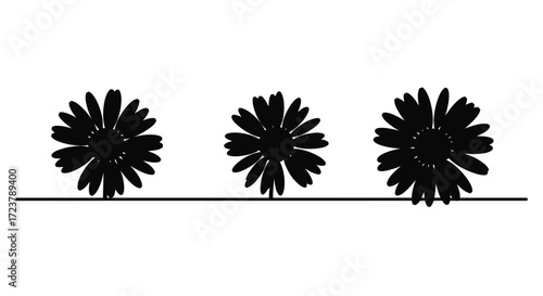 Three silhouette flower heads with thin stems on a straight line vector