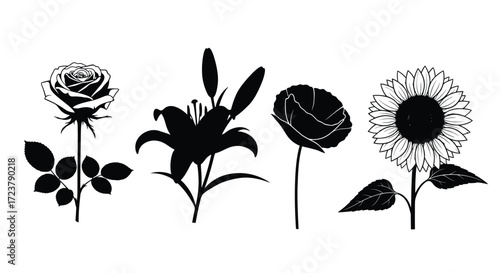 Silhouettes of diverse blooming flowers including rose lily poppy and sunflower botanical art vector
