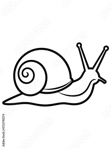 Simple outline drawing of a snail with a swirled shell