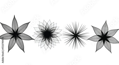 Four delicate star-shaped flowers with intricate petals isolated on white vector
