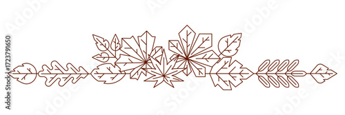 Design with autumn leaves. Illustration with various foliage.