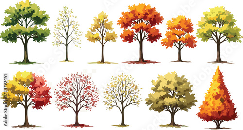 Vibrant Autumn Trees A Collection of Fall Foliage Illustrations