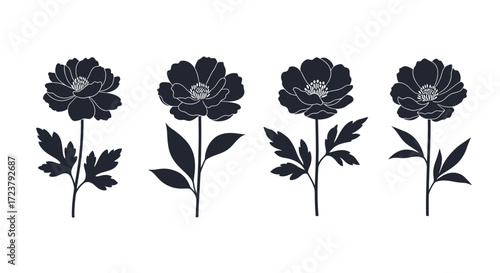 Four detailed black silhouette peony flowers with stems and leaves elegant botanical art vector