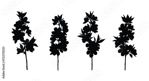 Four silhouetted sprigs of delicate blossoms botanical art isolated on white vector