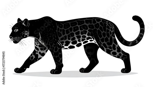 Black panther profile