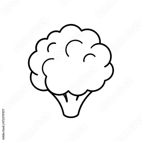 Outline drawing of a broccoli floret head on transparent background