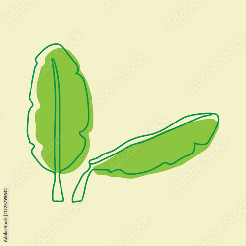 green banana leaf vector logo design