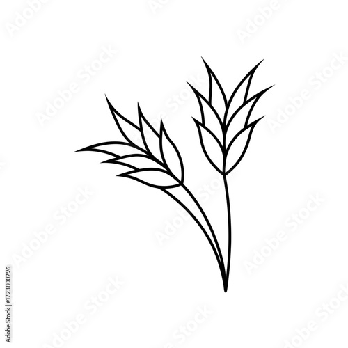 Two wheat stalks outline drawing simple art on transparent background