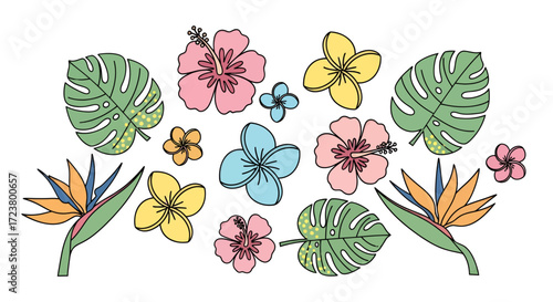 Colorful tropical floral assortment featuring hibiscus monstera and bird of paradise elements