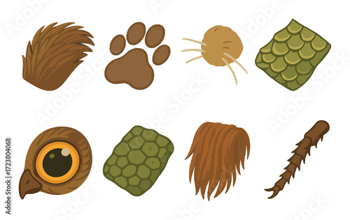Cartoon animal features on various textures with feathers, scales, fur, claw, and eye