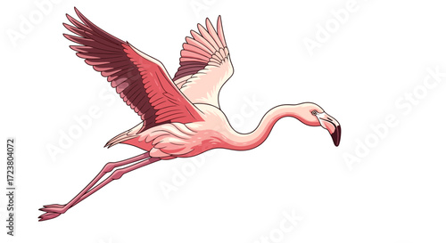 Vibrant flamingo vector illustration soars across a blank canvas with open wings and elongated legs