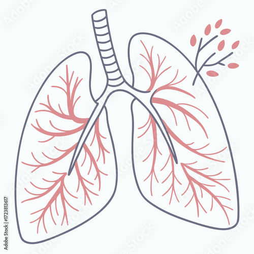 Illustration of lungs with a branch