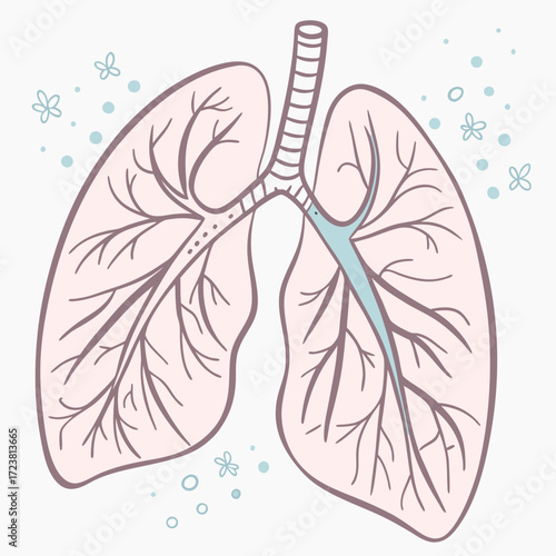 Illustration of healthy lungs with butterflies