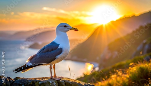 A seagull at sunset over a coastline