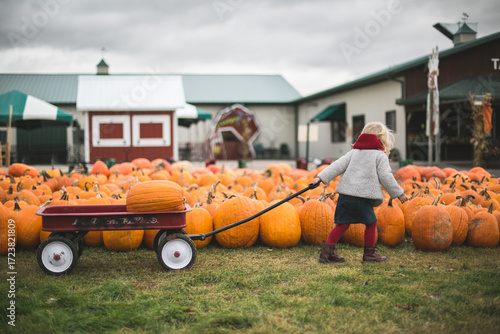 little girl pulling a red wagon through a pumpkin patch on a farm during autumn harvest season